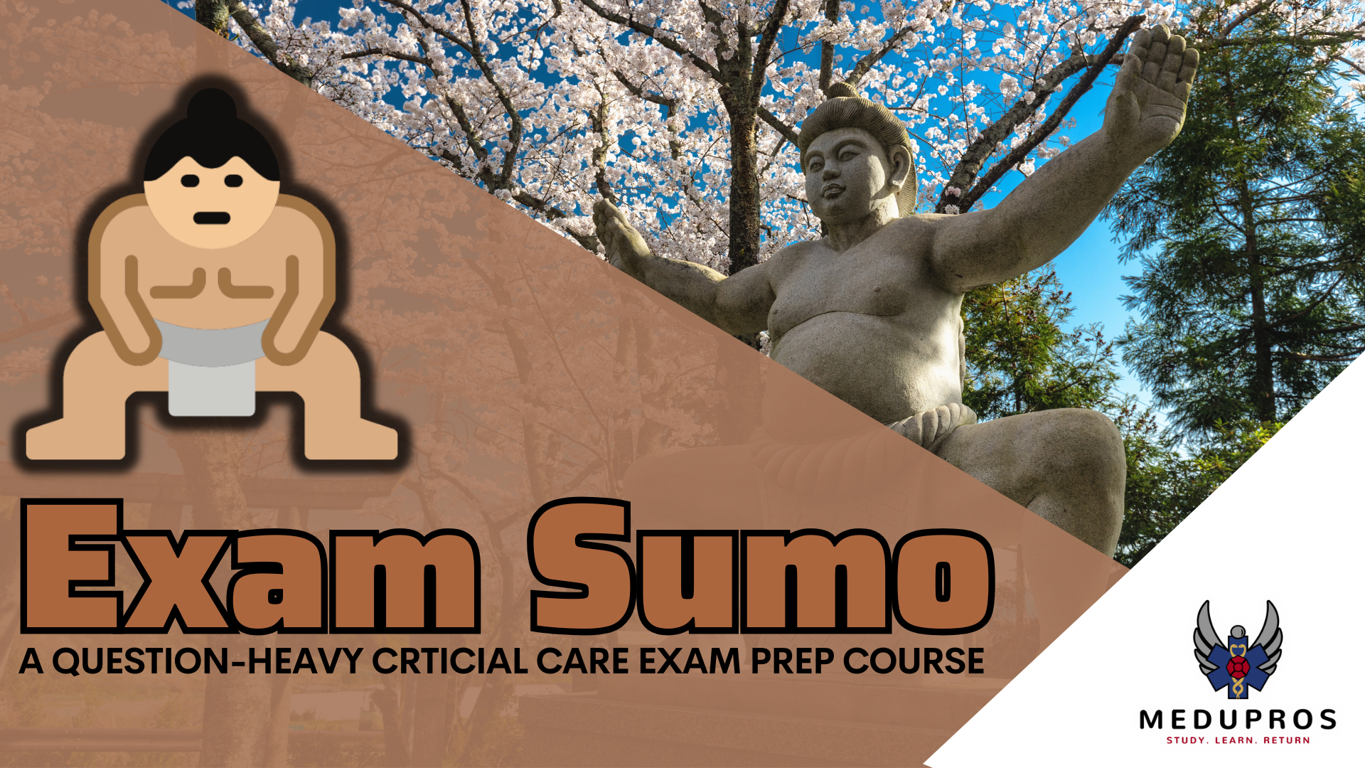 Exam Sumo