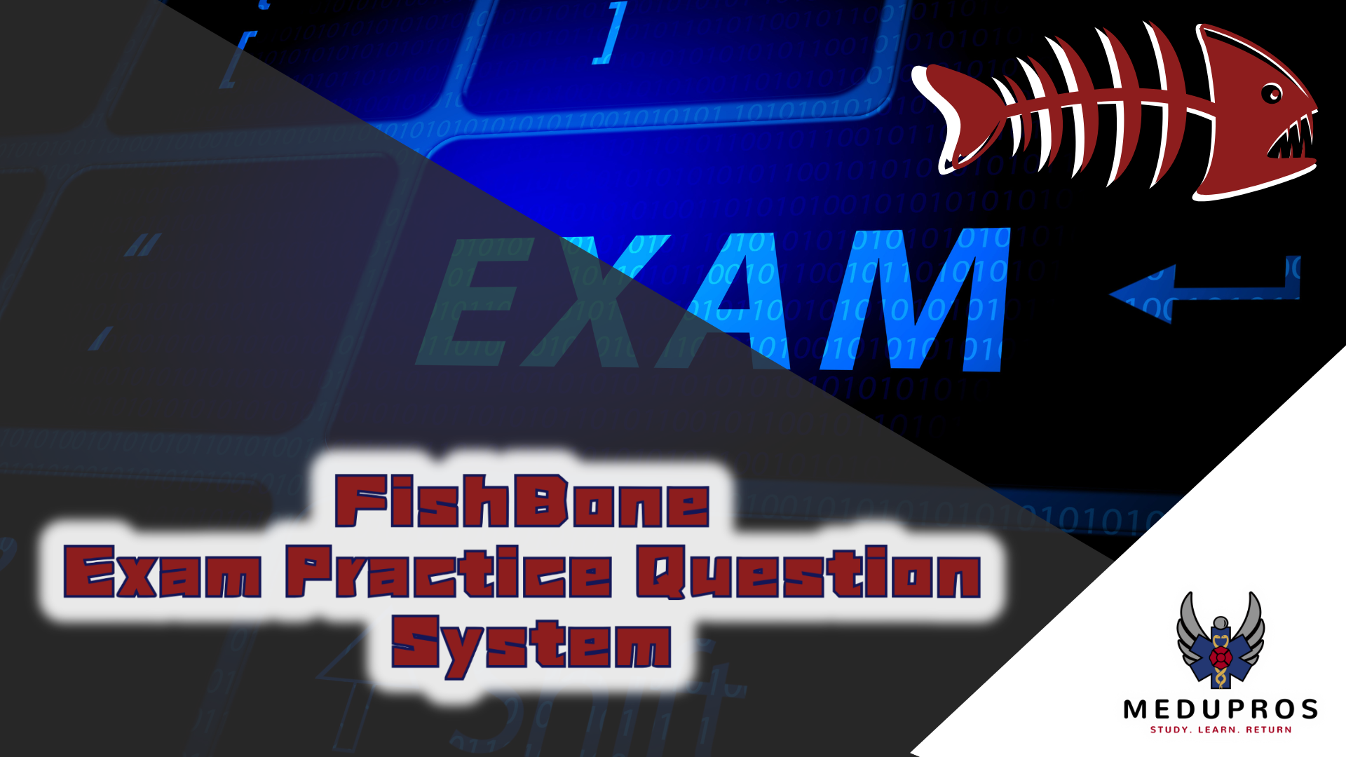 FishBone Exam Practice System